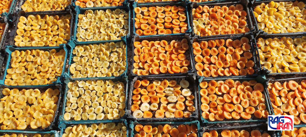 Dried Apricots Image 1